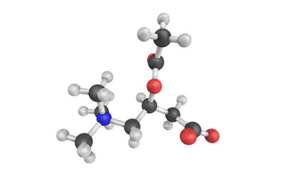  Acetyl-L-Carnitine-structure