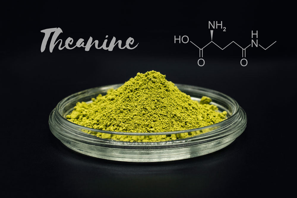 theanine-amino-acid