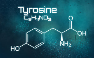  tyrosine-molecule