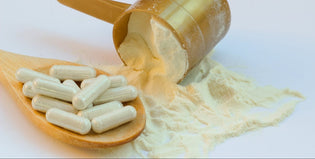  MindGain Blog - Powder vs. Pill